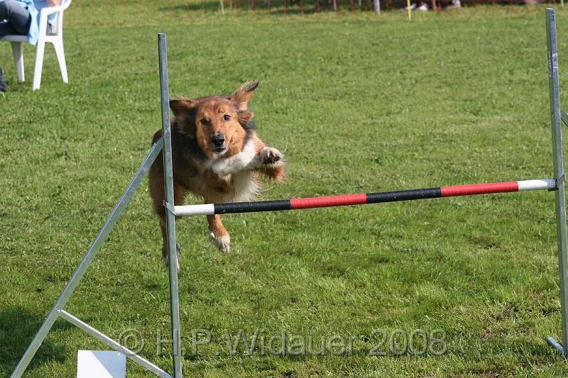 jubil.lusten. 137.jpg